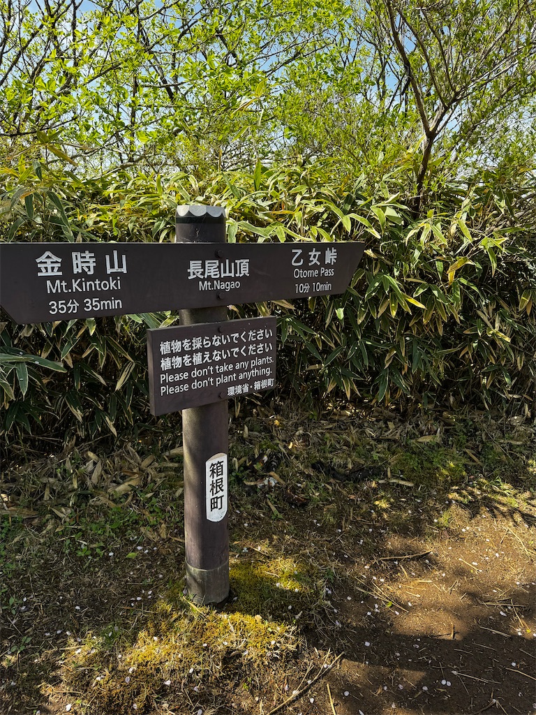 f:id:kannrekizizi:20250507134831j:image