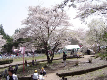 Photo Photo
