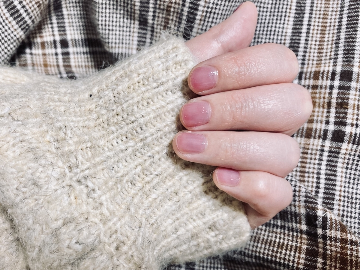 f:id:kanokomori:20210228085107j:plain