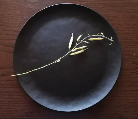 白菜の種、枝がついたまま。1本が黒いお盆に乗っている