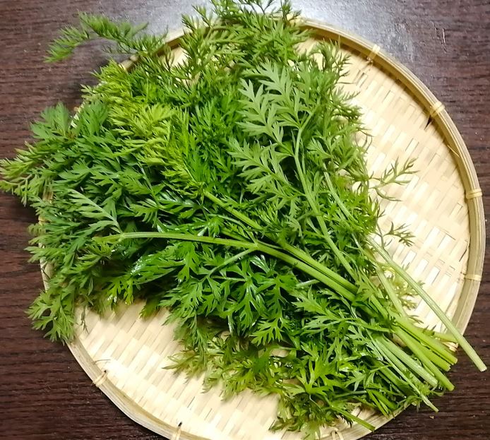 ニンジンの葉