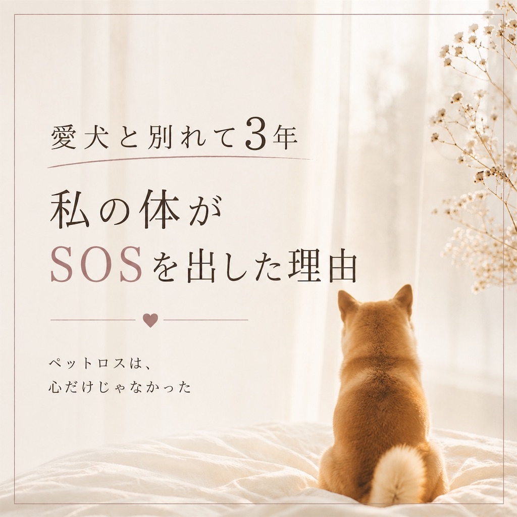 f:id:kanon-satomi:20260604130624j:image f:id:kanon-satomi:20260604130624j:image