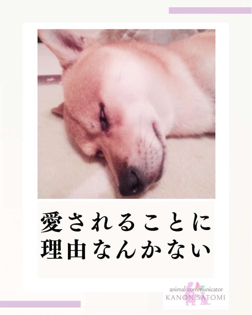 f:id:kanon-satomi:20260606132022j:image f:id:kanon-satomi:20260606132022j:image