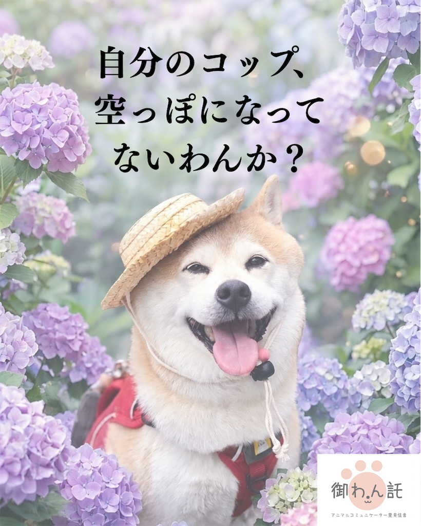 f:id:kanon-satomi:20260607134553p:image f:id:kanon-satomi:20260607134553p:image