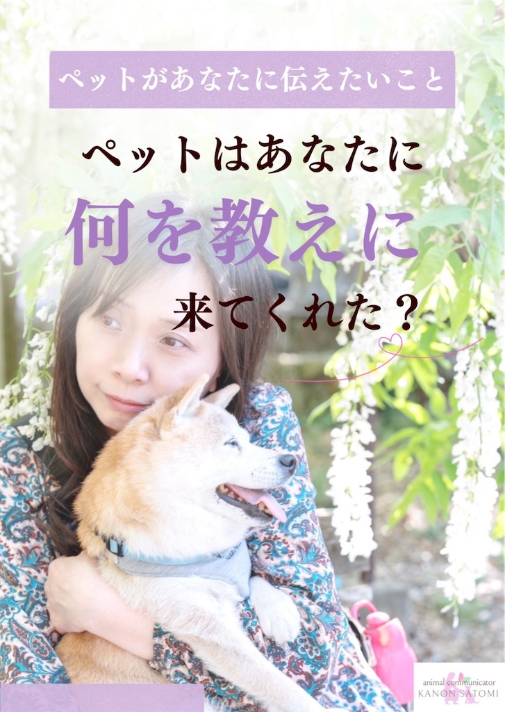 f:id:kanon-satomi:20260614144908j:image f:id:kanon-satomi:20260614144908j:image