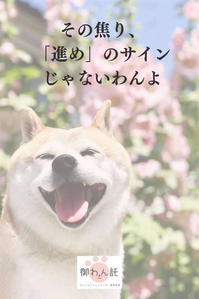f:id:kanon-satomi:20260617154838j:image f:id:kanon-satomi:20260617154838j:image