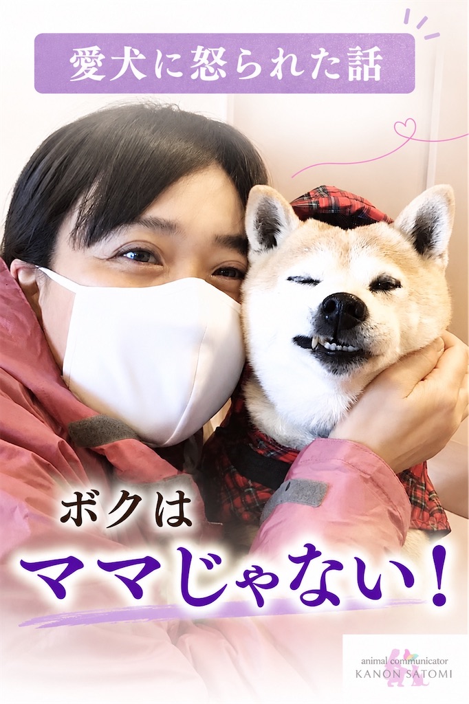f:id:kanon-satomi:20260619155540j:image f:id:kanon-satomi:20260619155540j:image