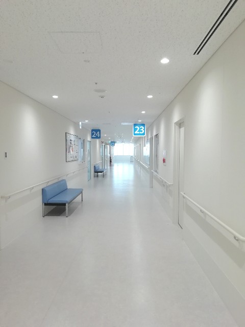 f:id:kanon139:20190526134539j:image f:id:kanon139:20190526134539j:image