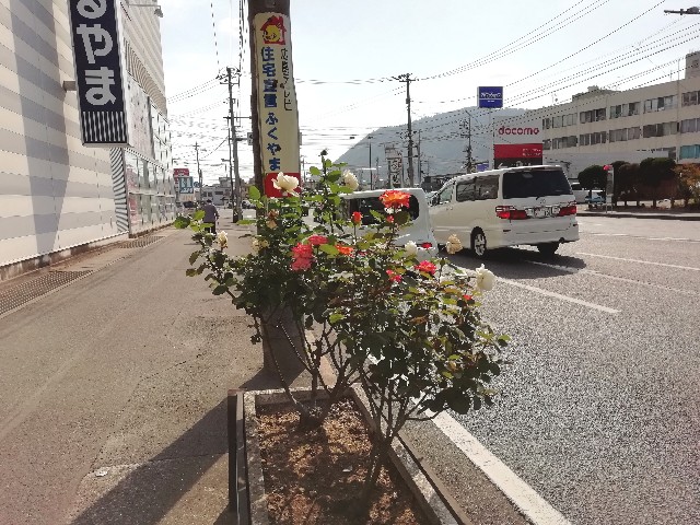 f:id:kanon139:20191101154722j:plain f:id:kanon139:20191101154722j:plain