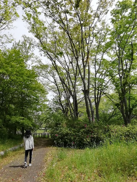 f:id:kanon139:20200528104320j:plain f:id:kanon139:20200528104320j:plain