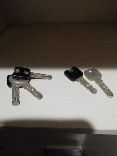 f:id:kanon139:20200528110311j:plain f:id:kanon139:20200528110311j:plain