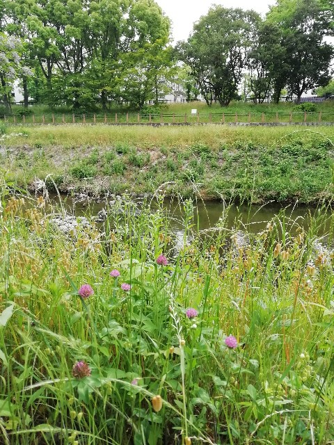 f:id:kanon139:20200530191043j:plain f:id:kanon139:20200530191043j:plain