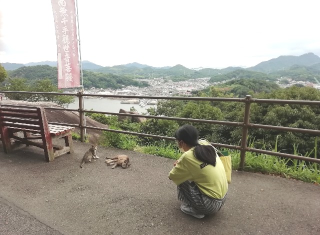 f:id:kanon139:20200719122931j:plain f:id:kanon139:20200719122931j:plain