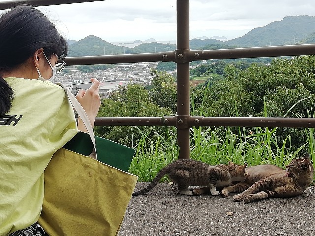 f:id:kanon139:20200720010022j:plain f:id:kanon139:20200720010022j:plain