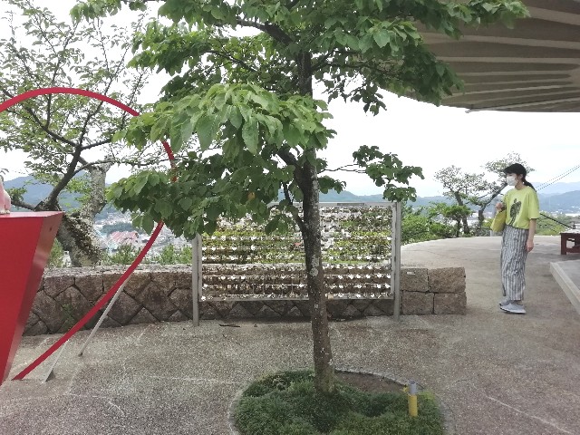 f:id:kanon139:20200731144947j:plain f:id:kanon139:20200731144947j:plain