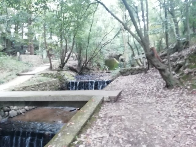 f:id:kanon139:20201111104930j:image