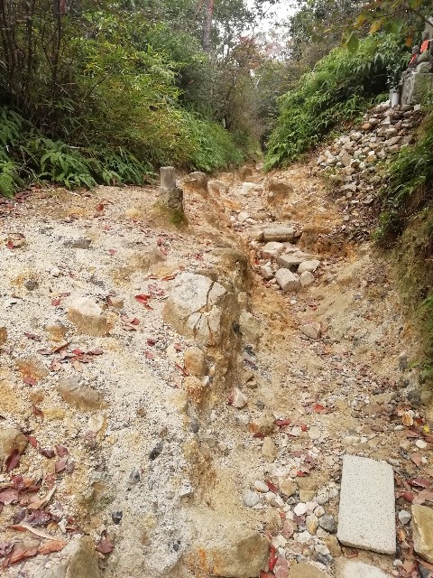 f:id:kanon139:20201111105051j:image