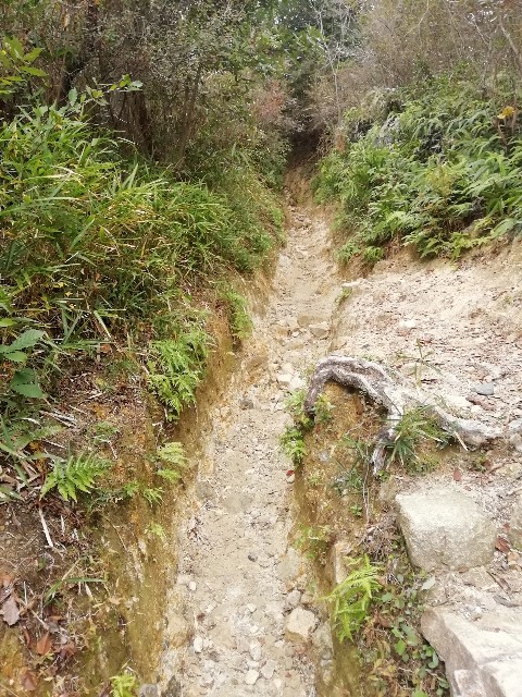 f:id:kanon139:20201111105104j:image