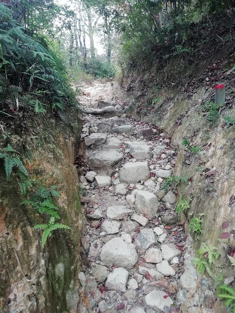 f:id:kanon139:20201111105121j:image