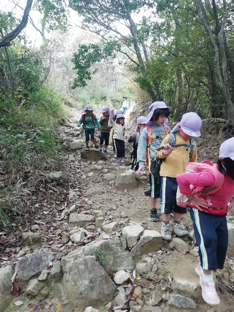 f:id:kanon139:20201111105156j:image