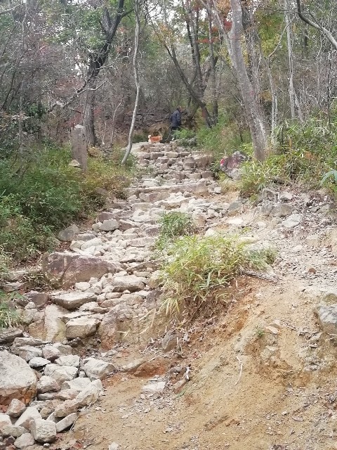 f:id:kanon139:20201111105309j:image