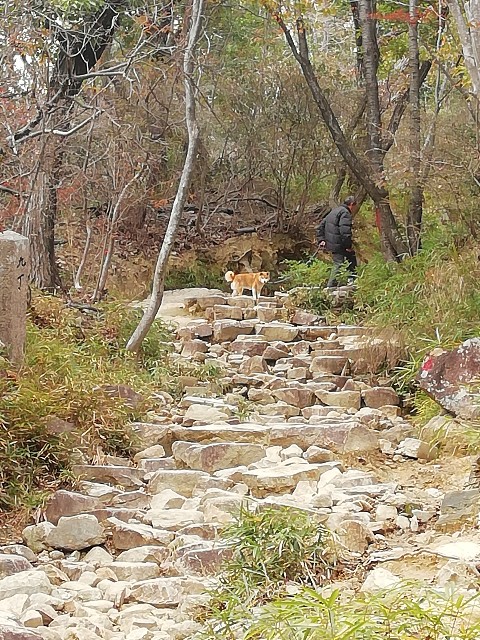 f:id:kanon139:20201111105335j:image