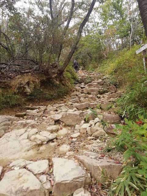 f:id:kanon139:20201111105412j:image