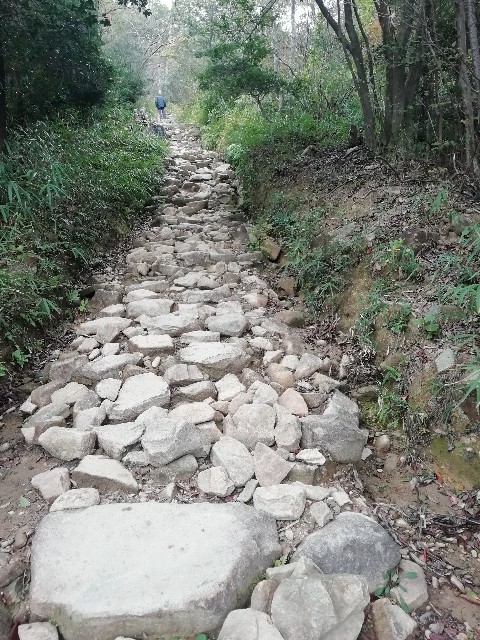 f:id:kanon139:20201111110354j:image