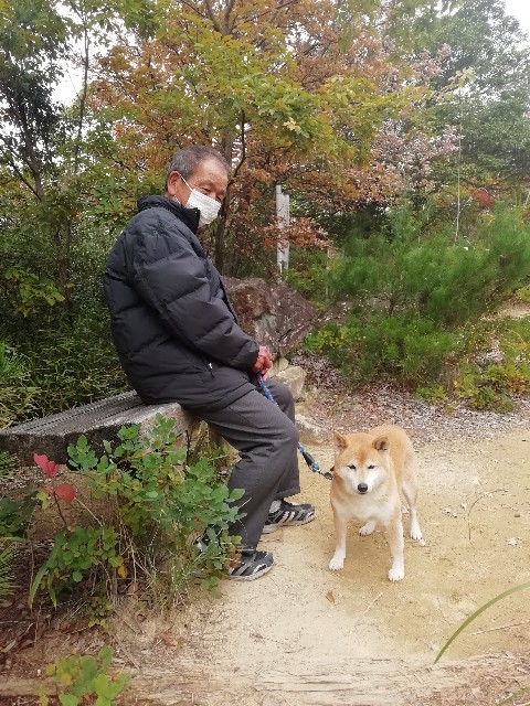 f:id:kanon139:20201111110619j:plain