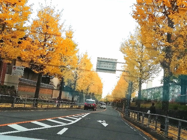 f:id:kanon139:20201115213223j:image f:id:kanon139:20201115213223j:image