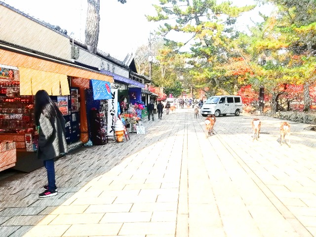 f:id:kanon139:20201213140135j:image