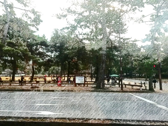 f:id:kanon139:20201213140158j:image