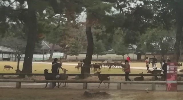 f:id:kanon139:20201213140210j:image