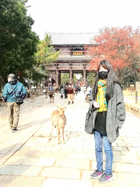 f:id:kanon139:20201213140341j:image