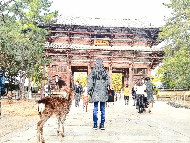 f:id:kanon139:20201213140401j:image