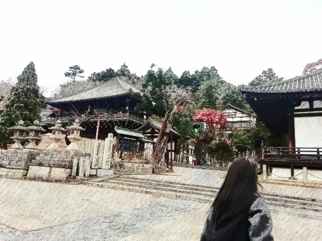 f:id:kanon139:20201213140711j:plain