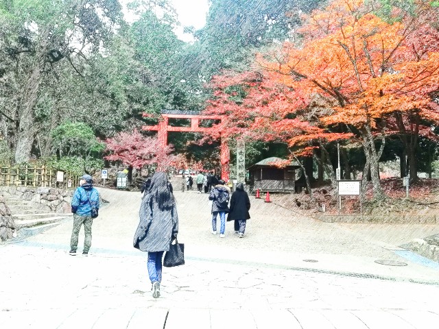 f:id:kanon139:20201213143720j:image f:id:kanon139:20201213143720j:image