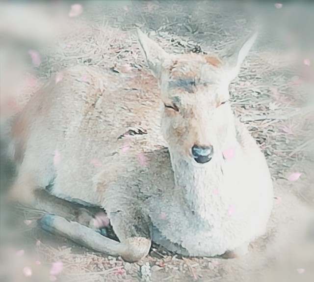 f:id:kanon139:20201213151958j:image f:id:kanon139:20201213151958j:image