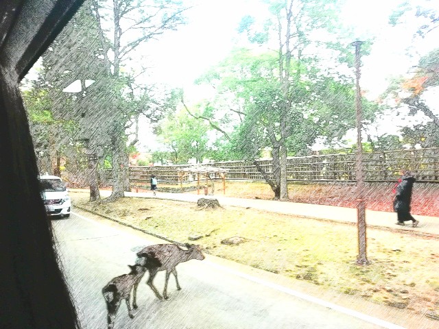 f:id:kanon139:20201213152123j:image f:id:kanon139:20201213152123j:image