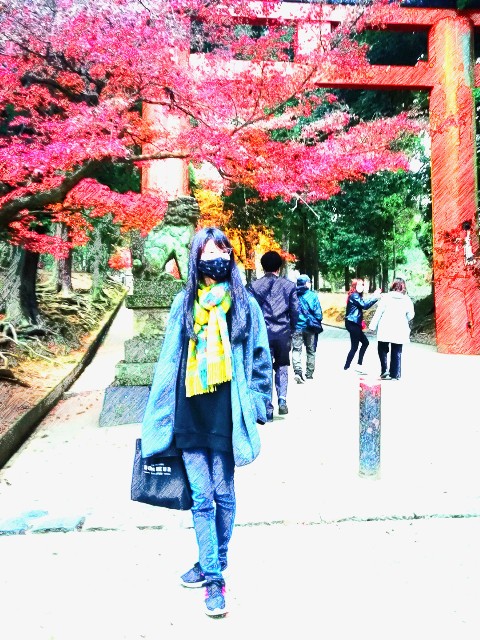 f:id:kanon139:20201213152927j:image f:id:kanon139:20201213152927j:image