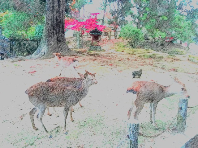 f:id:kanon139:20201214121039j:plain