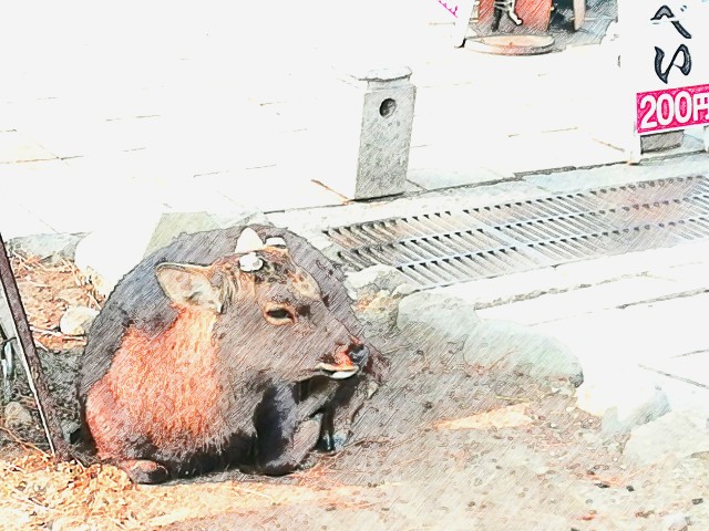 f:id:kanon139:20201214121102j:plain