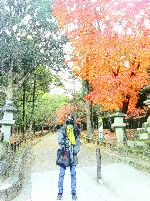 f:id:kanon139:20201214191055j:plain