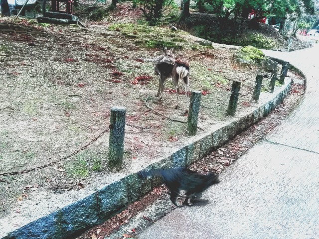 f:id:kanon139:20201215135642j:plain