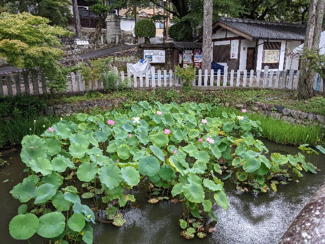 f:id:kanon139:20210903120516j:plain