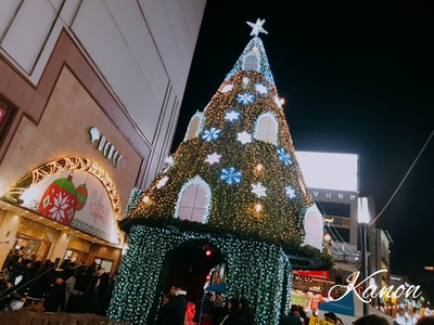 f:id:kanon758:20181225091242j:plain f:id:kanon758:20181225091242j:plain