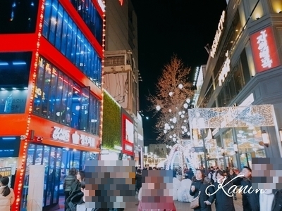 f:id:kanon758:20181225091354j:plain f:id:kanon758:20181225091354j:plain