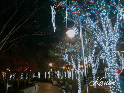 f:id:kanon758:20181225092022j:plain f:id:kanon758:20181225092022j:plain