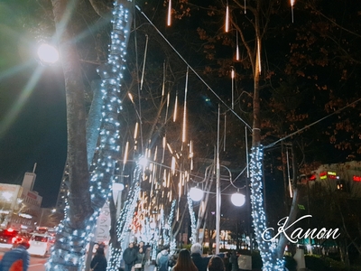 f:id:kanon758:20181225092206j:plain f:id:kanon758:20181225092206j:plain