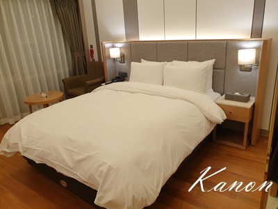 f:id:kanon758:20210528132106j:plain